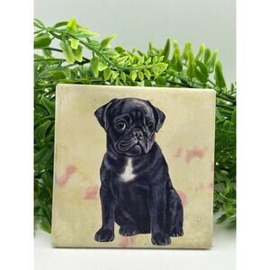 Absorbent Ceramic Pet Coaster Pug, Black Fast Shipping